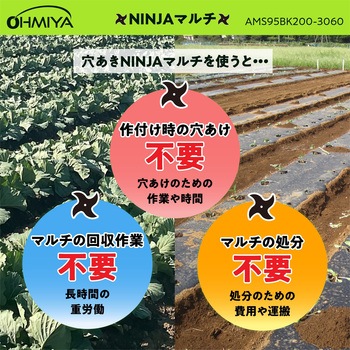 穴あきNINJAマルチ オーミヤ