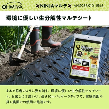 穴あきNINJAマルチ オーミヤ