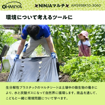 穴あきNINJAマルチ オーミヤ