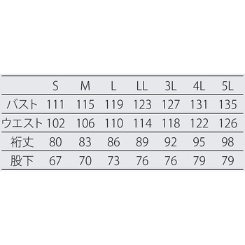 クリーンスーツ アドクリーン