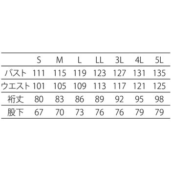 AC対応クリーンスーツ(ステライザー) アドクリーン