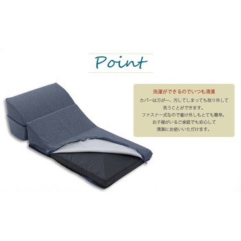 テレビ枕 セルタン