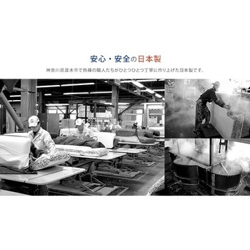 テレビ枕 セルタン