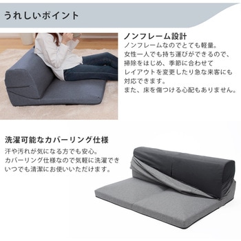 テレビ枕 セルタン