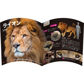 MOVE 動物おりがみ トーヨー