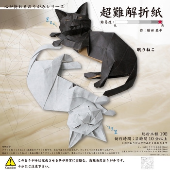 超難解折紙(眠りねこ) トーヨー