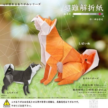 超難解折紙(しばいぬ) トーヨー