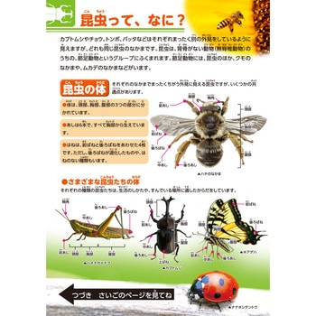 学べるぬりえ MOVE トーヨー