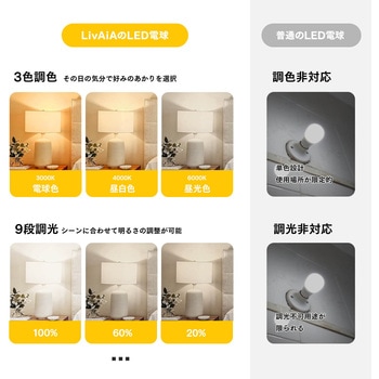 リモコン操作防災LED電球 2個セット ビザイア
