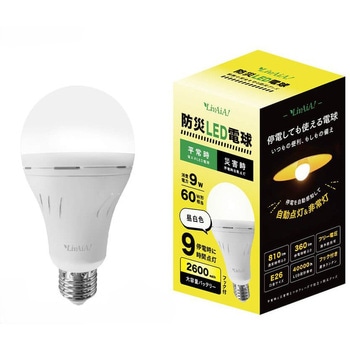 防災LED電球 (昼白色) - ビザイア
