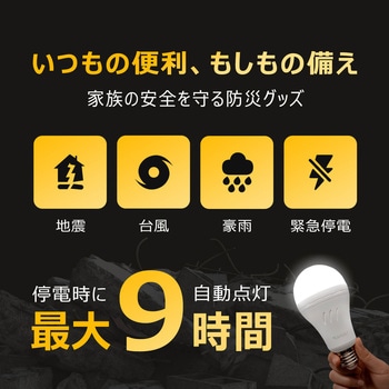 防災LED電球 (昼白色) - ビザイア