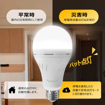 防災LED電球 (昼白色) - ビザイア