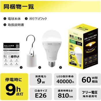 防災LED電球 (電球色) ビザイア