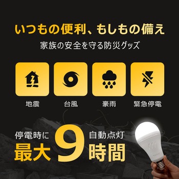 防災LED電球 (電球色) ビザイア