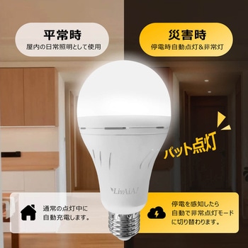 防災LED電球 (電球色) ビザイア