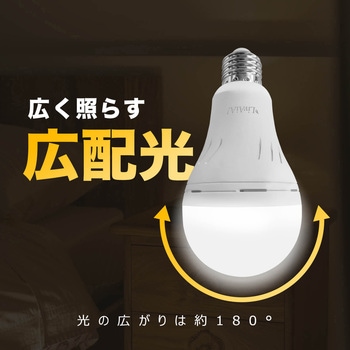 防災LED電球 (電球色) ビザイア