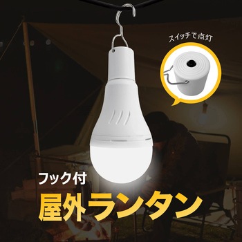 防災LED電球 (電球色) ビザイア