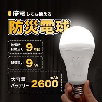 防災LED電球 (電球色) ビザイア