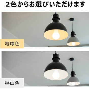 防災LED電球 (電球色) ビザイア