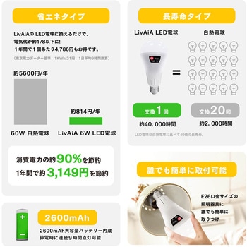 USB充電リモコン操作防災LED電球 ビザイア