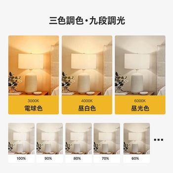 USB充電リモコン操作防災LED電球 ビザイア
