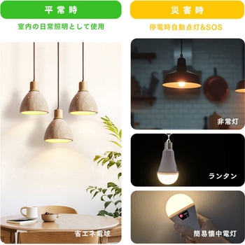 USB充電リモコン操作防災LED電球 ビザイア