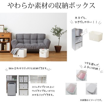 ナチュラ インボックス ソフト フタ サンカ