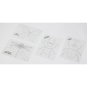 プラ板でつくる昆虫図鑑 アーテック[学校教材・教育玩具]