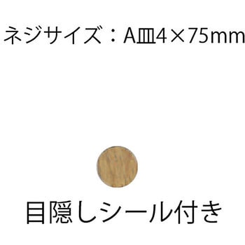 手摺用ベースプレート用固定ネジ10本入 ハイロジック