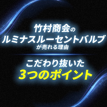 ルミナスルーセントバルブPlus バスマーカー用 s25 シングル BA15s 12v/24v兼用 竹村商会