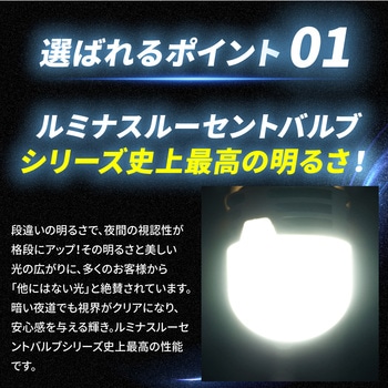 ルミナスルーセントバルブPlus バスマーカー用 s25 シングル BA15s 12v/24v兼用 竹村商会