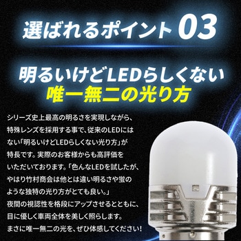 ルミナスルーセントバルブPlus バスマーカー用 s25 シングル BA15s 12v/24v兼用 竹村商会