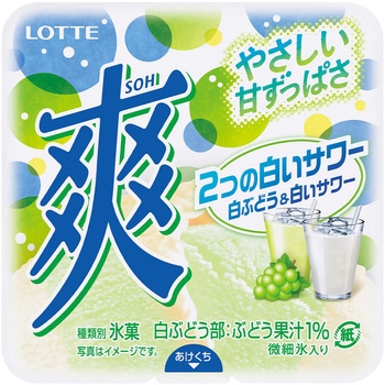 [冷凍]爽 2つの白いサワー<白ぶどう&白いサワー> ロッテ