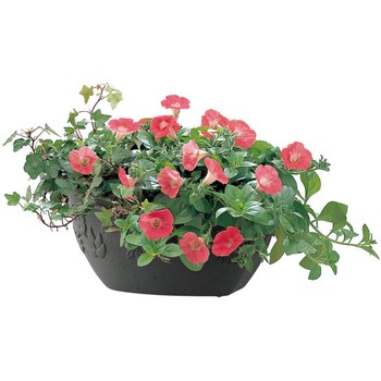 ハナール 壁かけ 34型 Richell(リッチェル)