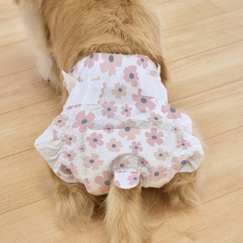 ペット用おむつ ピタフィット XS 38枚入  女の子用 アイリスオーヤマ