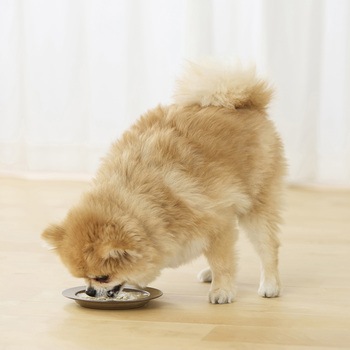 ヘルシーステップ ささみ 70g×3P アイリスオーヤマ