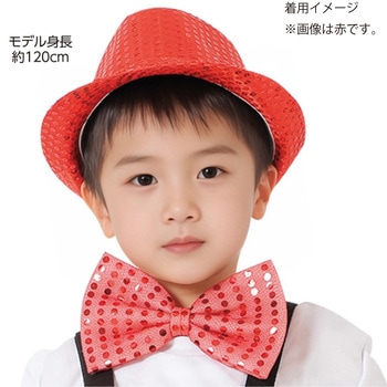キラキラハット アーテック[学校教材・教育玩具]