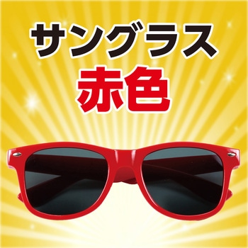 サングラス アーテック[学校教材・教育玩具]