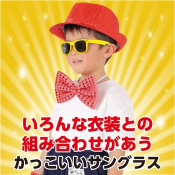 サングラス アーテック[学校教材・教育玩具]