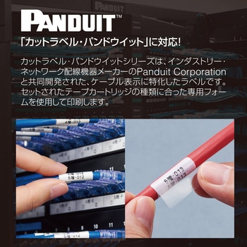 【モノタロウ限定】ラベルライター「テプラ」PRO SR-R980 システムトランク付きセット ※パンドウイット回転ラベルサービス キングジム