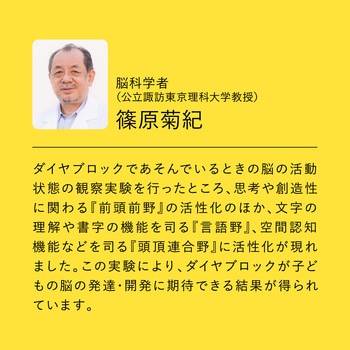 ダイヤブロック HIKARIIRO(ヒカリイロ) L カワダ