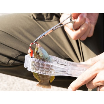 ハリハズシ・シュルリール DOD(ディーオーディー)