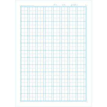 ポケットモンスター学習帳 ショウワノート