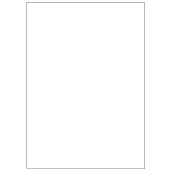 ポケットモンスター学習帳 ショウワノート