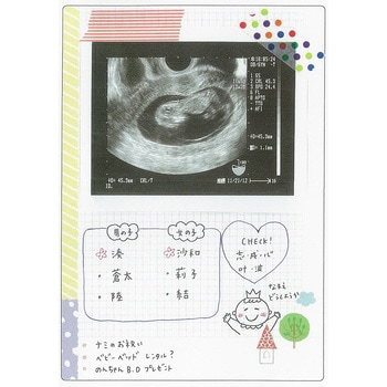 マタニティダイアリー(ちょうちょ) 学研ステイフル