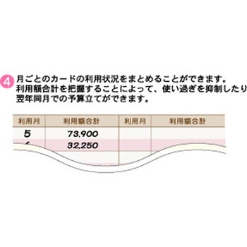 ドットクレジットカードレコード エムプラン
