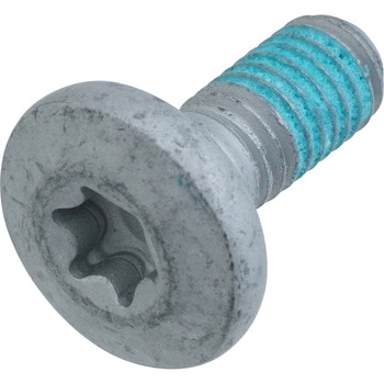 SPECIAL SCREW M8X18 TORX45 SS 79003003000 KTM