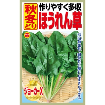 【種 たね タネ】作りやすく多収 秋冬どり ほうれん草 アタリヤ農園