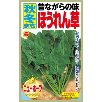 【種 たね タネ】昔ながらの味 秋冬まき ほうれん草 アタリヤ農園