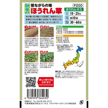 【種 たね タネ】昔ながらの味 秋冬まき ほうれん草 アタリヤ農園